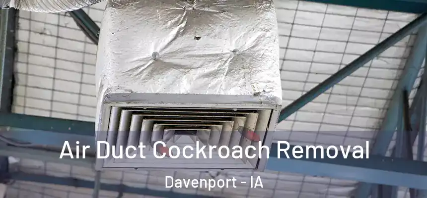  Air Duct Cockroach Removal Davenport - IA