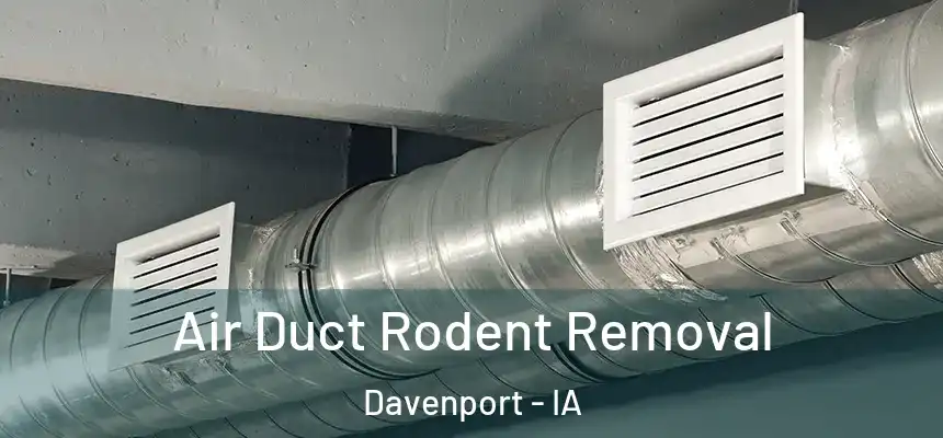  Air Duct Rodent Removal Davenport - IA
