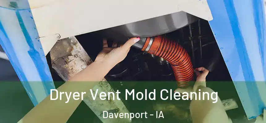Dryer Vent Mold Cleaning Davenport - IA