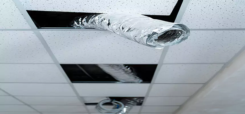 Our Air Duct Pet Hair Removal Services in Davenport, IA