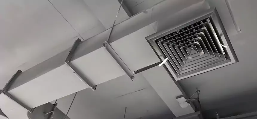 Restorative Allergy Relief Vent Cleaning – Coil, Blower & Housing Detail in Davenport