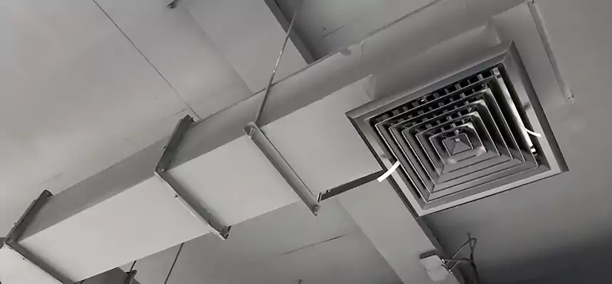 Our Rodent Droppings In Vents Services in Davenport, IA