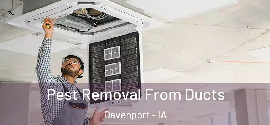 Pest Removal From Ducts Davenport - IA
