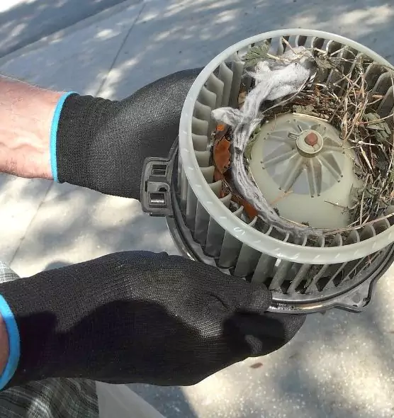 About Air Duct Mice Removal in Davenport, IA