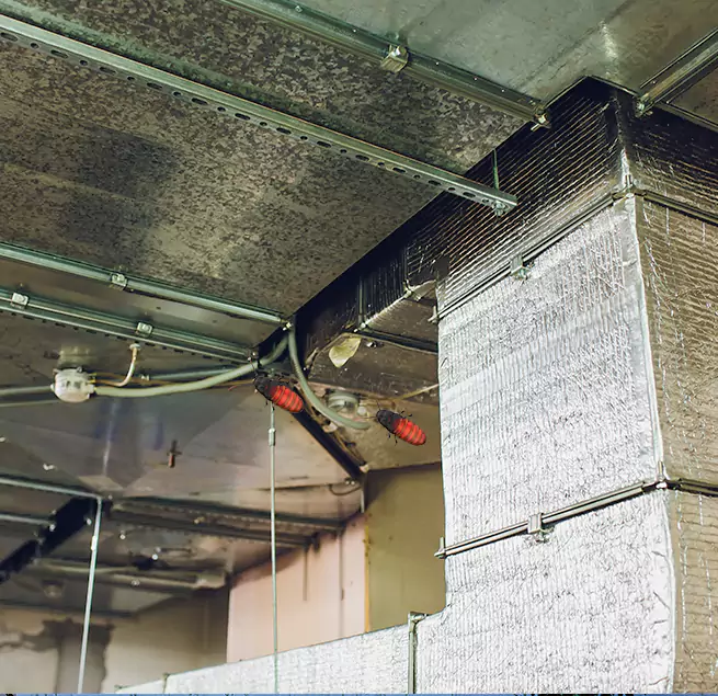 Why Homeowners & Businesses Trust Us in Davenport, IA?