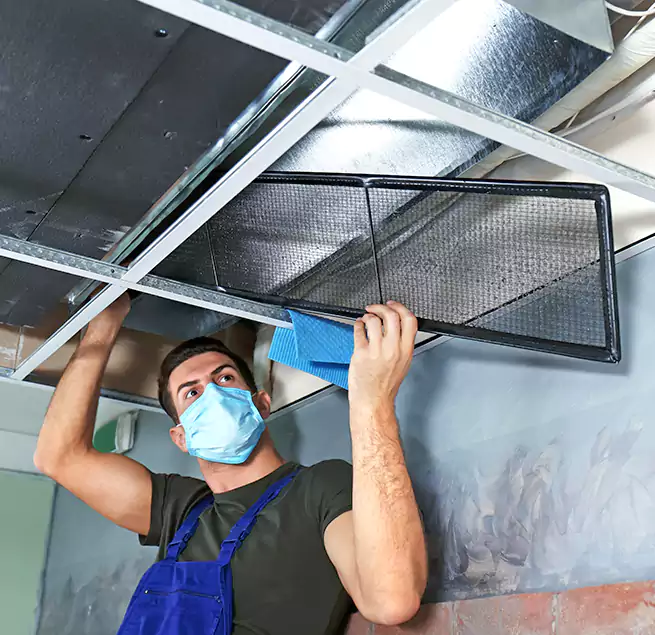 Why Homeowners Businesses Trust Us in Davenport, IA