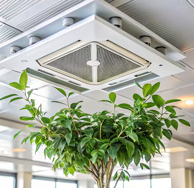 Why Homeowners & Businesses Trust Us in Davenport, IA?